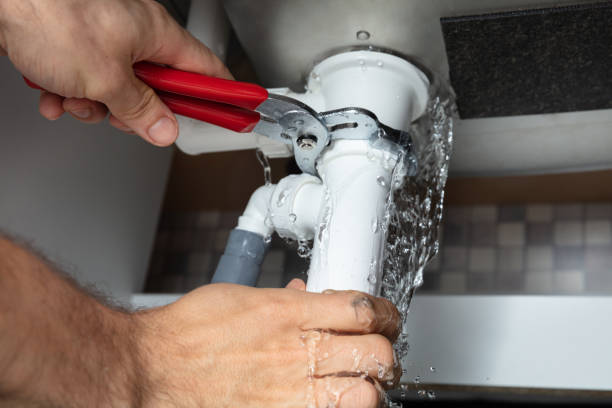 Best Water damage mitigation services  in Avenel, NJ