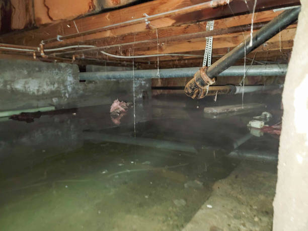 Best Commercial water damage restoration  in Avenel, NJ