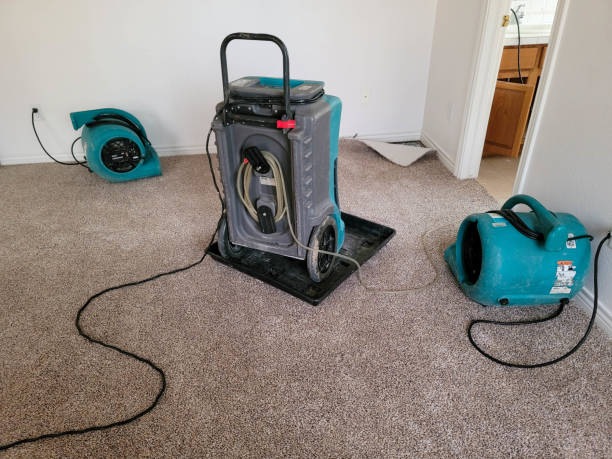 Best Ceiling water damage repair  in Avenel, NJ