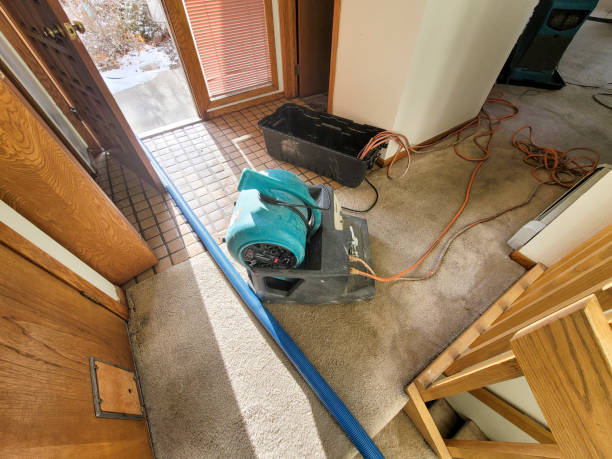 Best Water damage restoration near me  in Avenel, NJ
