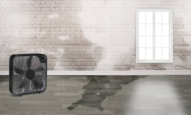Water damage restoration process in Avenel, NJ