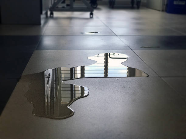 Best 24-hour water damage restoration  in Avenel, NJ