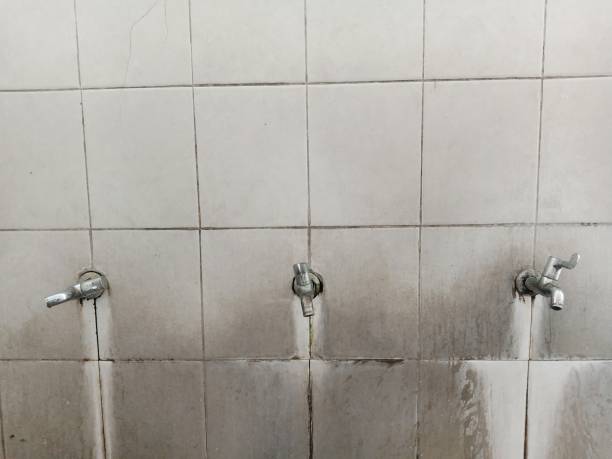 Best Professional water damage repair  in Avenel, NJ