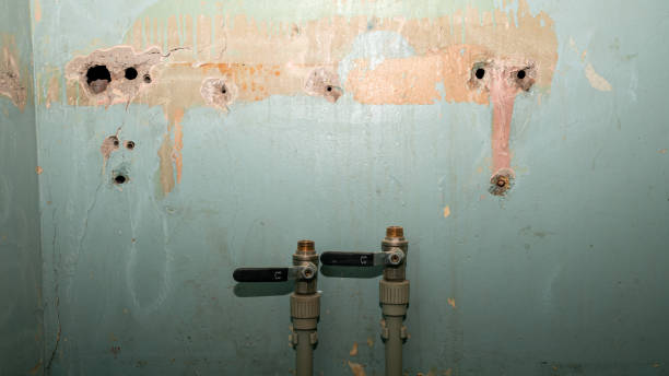 Best Emergency water damage restoration  in Avenel, NJ